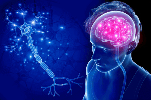 Welche Nervensysteme gibt es im Körper