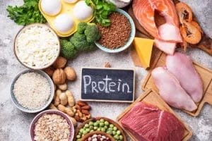 Wissenswertes über Proteine